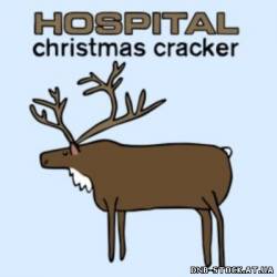 VA - Hospital Christmas Cracker (2010)